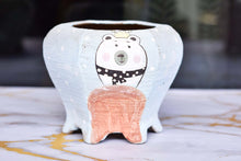 Load image into Gallery viewer, Handpainted cartoon pots - flower planter - succulent pot (14cm * 11.5cm)