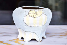 Load image into Gallery viewer, Handpainted cartoon pots - flower planter - succulent pot (14cm * 11.5cm)