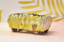 Load image into Gallery viewer, Handmade pots with two holes - YIPIN succulent planter - flower pot (15cm*7.3cm*7cm)