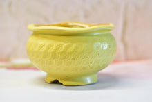 Load image into Gallery viewer, Flower edge pot - succulent stamp planter pot (14.5cm*9.5cm)