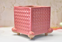 Load image into Gallery viewer, Large square succulent pots - frog feet pot (14.5cm*14.5cm*16cm)