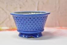 Load image into Gallery viewer, Stamp round succulent pot (16.5cm*10cm)