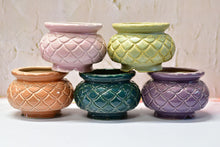 Load image into Gallery viewer, Large pineapple succulent pot -flower planter (13.5cm*11cm)