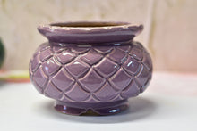 Load image into Gallery viewer, Large pineapple succulent pot -flower planter (13.5cm*11cm)