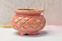 Load image into Gallery viewer, Large pineapple succulent pot -flower planter (13.5cm*11cm)