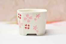 Load image into Gallery viewer, Square pink pots - succulent planter - plant pot (9.5cm*9.5cm*7.5cm)