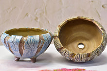 Load image into Gallery viewer, 【Doris's collection】Flower pot - succulent planter (18.5cm*11cm)