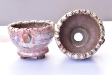 Load image into Gallery viewer, Yipin succulent pot - flower planter (10.5cm*8cm)