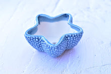 Load image into Gallery viewer, Marine style succulent pot - animal flower planter