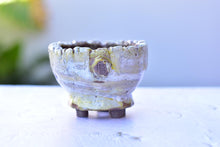 Load image into Gallery viewer, Yipin succulent pot - flower planter (10.5cm*8cm)