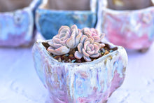 Load image into Gallery viewer, Yipin succulent pot - flower planter (9cm*9cm*9cm)