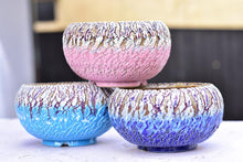 Load image into Gallery viewer, Crackle style succulent pot - flower planter (15cm*11.5cm)
