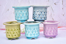 Load image into Gallery viewer, Ice crackle style pot - full stamps flower planter (8.5cm*8cm)