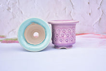 Load image into Gallery viewer, Ice crackle style pot - full stamps flower planter (8.5cm*8cm)