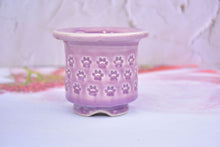 Load image into Gallery viewer, Ice crackle style pot - full stamps flower planter (8.5cm*8cm)
