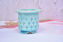 Load image into Gallery viewer, Ice crackle style pot - full stamps flower planter (8.5cm*8cm)
