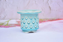 Load image into Gallery viewer, Ice crackle style pot - full stamps flower planter (8.5cm*8cm)
