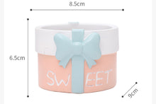 Load image into Gallery viewer, Cute gift pot - Resin succulent planter - home decor