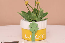 Load image into Gallery viewer, Cute gift pot - Resin succulent planter - home decor