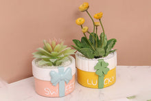 Load image into Gallery viewer, Cute gift pot - Resin succulent planter - home decor