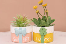 Load image into Gallery viewer, Cute gift pot - Resin succulent planter - home decor