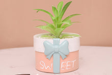 Load image into Gallery viewer, Cute gift pot - Resin succulent planter - home decor