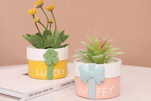 Load image into Gallery viewer, Cute gift pot - Resin succulent planter - home decor