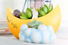 Load image into Gallery viewer, Moon Pots - 'Good Night' - Succulent pots - Made of Resin (17cm*8cm)