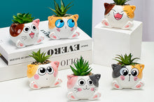Load image into Gallery viewer, Cute cat pots - succulent planter - flower pots (8.3cm*6.2cm)
