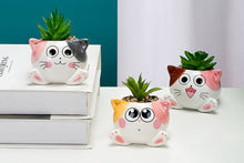 Load image into Gallery viewer, Cute cat pots - succulent planter - flower pots (8.3cm*6.2cm)