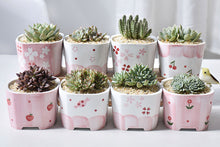 Load image into Gallery viewer, Square pink pots - succulent planter - plant pot (9.5cm*9.5cm*7.5cm)