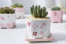 Load image into Gallery viewer, Square pink pots - succulent planter - plant pot (9.5cm*9.5cm*7.5cm)