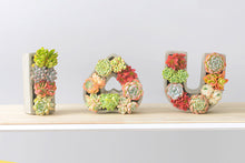 Load image into Gallery viewer, Succulent arrangement pot - I Love you shape - concrete flower pot