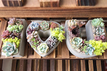 Load image into Gallery viewer, Succulent arrangement pot - I Love you shape - concrete flower pot