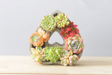 Load image into Gallery viewer, Succulent arrangement pot - I Love you shape - concrete flower pot