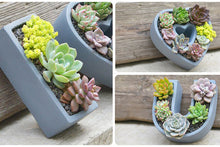 Load image into Gallery viewer, Succulent arrangement pot - I Love you shape - concrete flower pot