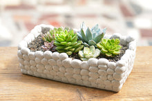 Load image into Gallery viewer, Succulent arrange pot - cement planter - concrete flower pot (24cm*13cm*11cm)