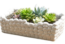 Load image into Gallery viewer, Succulent arrange pot - cement planter - concrete flower pot (24cm*13cm*11cm)