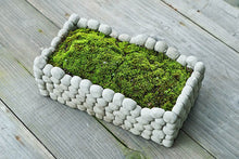 Load image into Gallery viewer, Succulent arrange pot - cement planter - concrete flower pot (24cm*13cm*11cm)