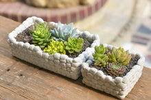 Load image into Gallery viewer, Succulent arrange pot - cement planter - concrete flower pot (24cm*13cm*11cm)