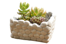 Load image into Gallery viewer, Succulent arrange pot - cement planter - concrete flower pot (24cm*13cm*11cm)