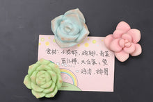 Load image into Gallery viewer, Set of 3 Fridge Magnet - Succulent magnet for succulent lovers