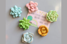 Load image into Gallery viewer, Set of 3 Fridge Magnet - Succulent magnet for succulent lovers