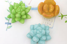 Load image into Gallery viewer, Set of 3 Fridge Magnet - Succulent magnet for succulent lovers