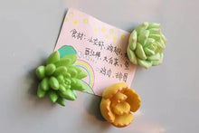 Load image into Gallery viewer, Set of 3 Fridge Magnet - Succulent magnet for succulent lovers
