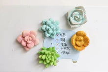 Load image into Gallery viewer, Set of 3 Fridge Magnet - Succulent magnet for succulent lovers