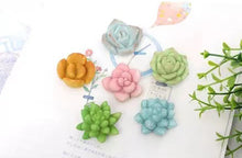 Load image into Gallery viewer, Set of 3 Fridge Magnet - Succulent magnet for succulent lovers