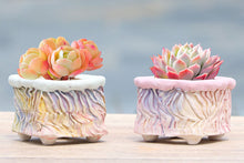 Load image into Gallery viewer, Square colourful pots - handmade planter - flower pot (8.5cm*6cm)