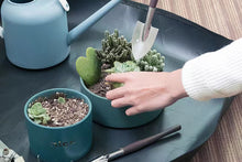 Load image into Gallery viewer, 13 Pcs gardening tool kit