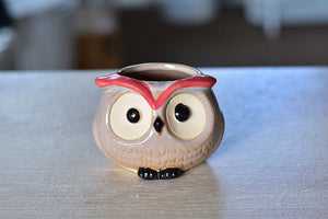 Small cute owl succulent pot - flower ceramic pot (5cm*7cm)